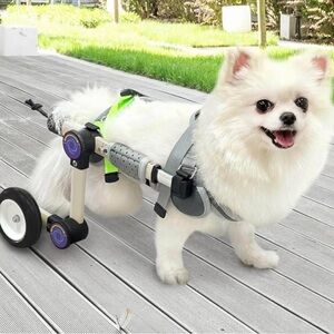 Size xs Adjustable Dog for Back lightweight